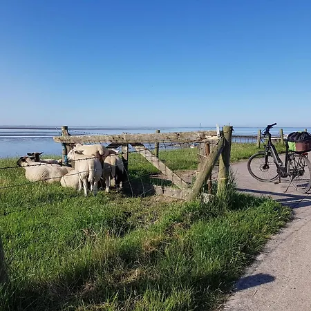 Feriehus N8 Eingezaeuntes In Eckwarderhoerne By Interhome *